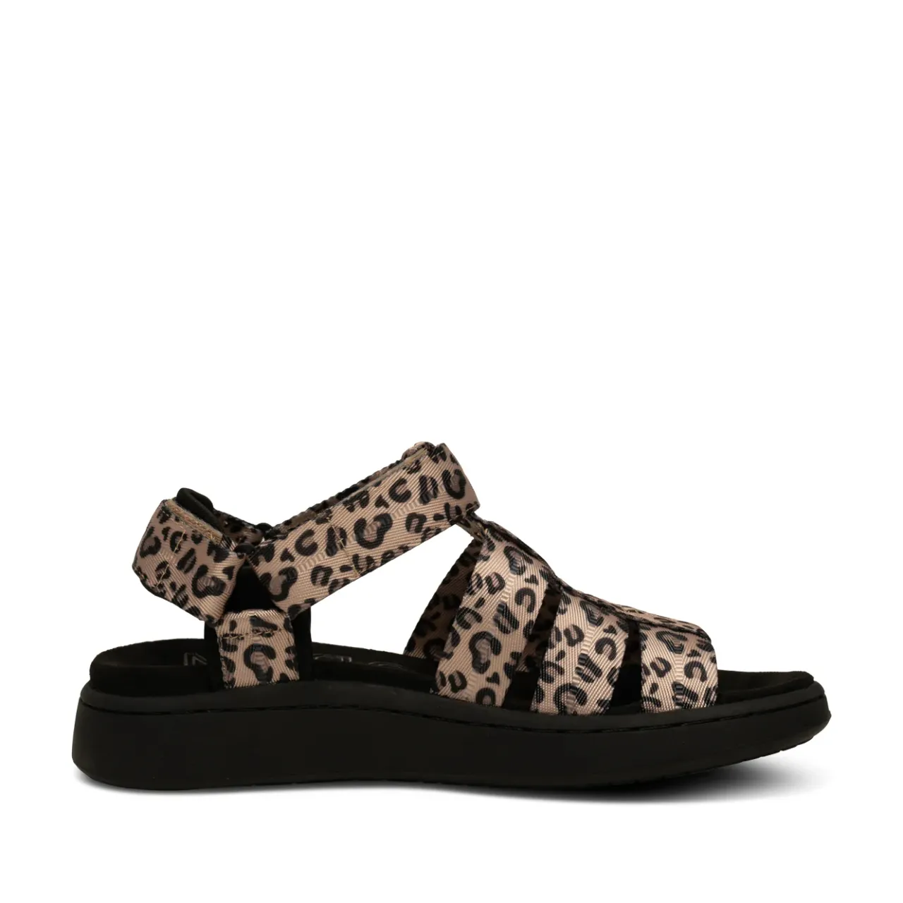 WODEN Line Fisherman - Leopard Clearance